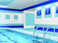 Коллекция Березакерамика Верона - плитка для бассейна 245x120 мм