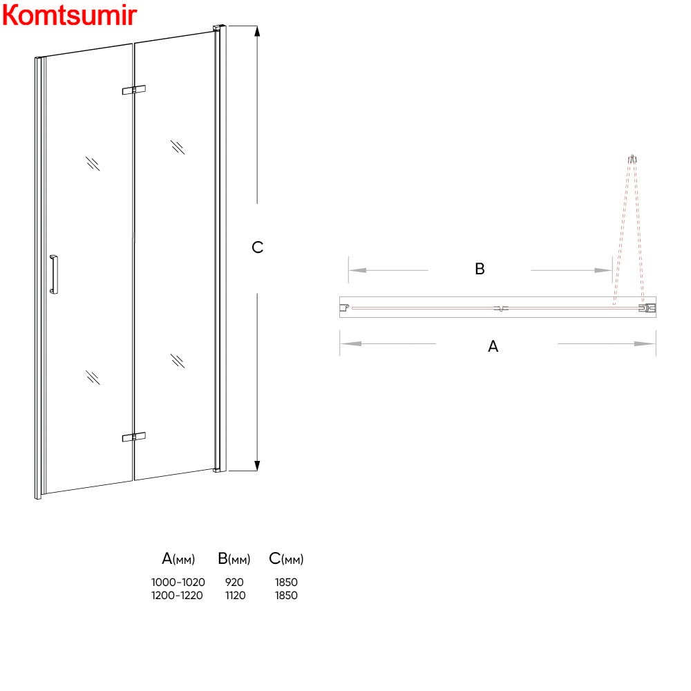 Душевая дверь Veconi VN-42 70*190