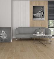 Коллекция Laparet Club 120x20