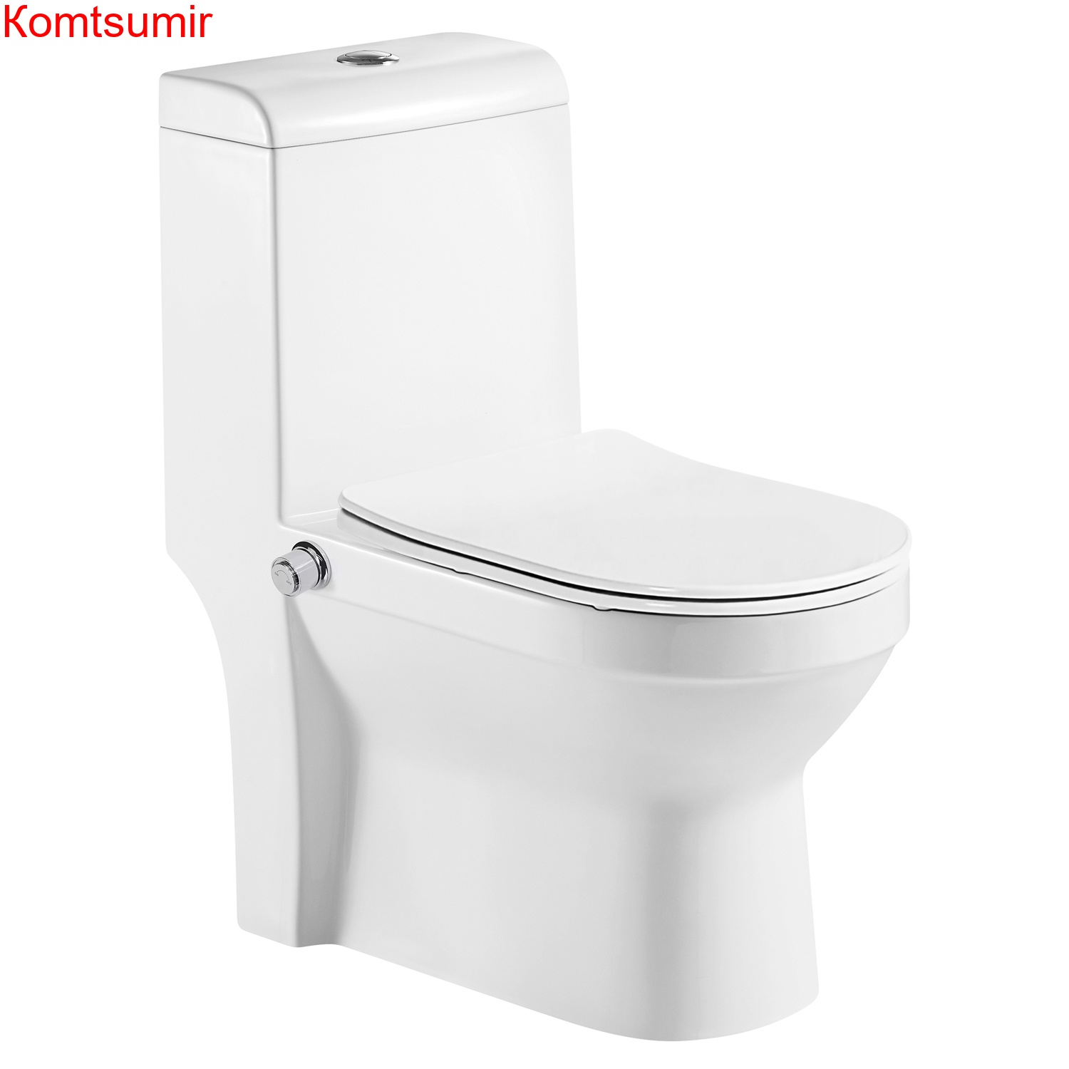 Унитаз-моноблок AZARIO BRUSCO 700x380x805 напольный со встроенной функцией биде, в комплекте с сиденьем дюропласт микролифт (AZ-1085B)