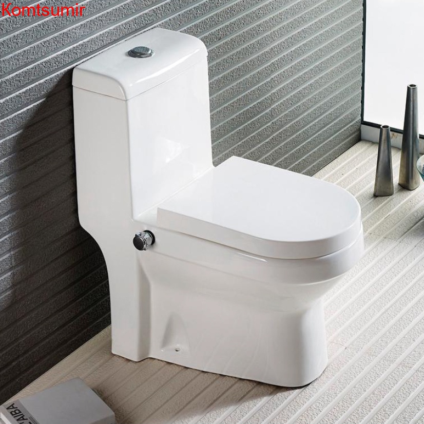 Унитаз-моноблок AZARIO BRUSCO 700x380x805 напольный со встроенной функцией биде, в комплекте с сиденьем дюропласт микролифт (AZ-1085B)