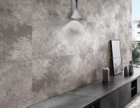 Коллекция Laparet Milkiway Silver 25x75