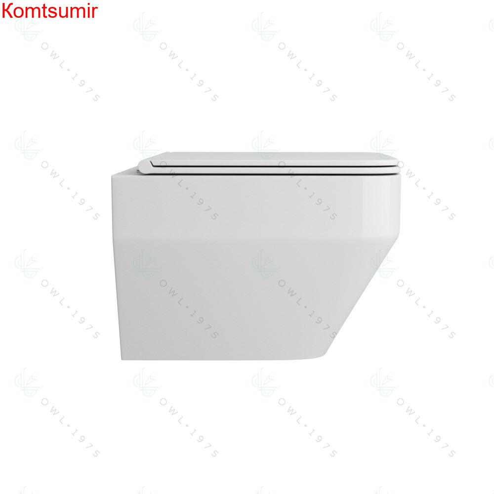 OWLT190601 Унитаз подвесной безободковый OWL Eld Ruta-H с сиденьем DP микролифт