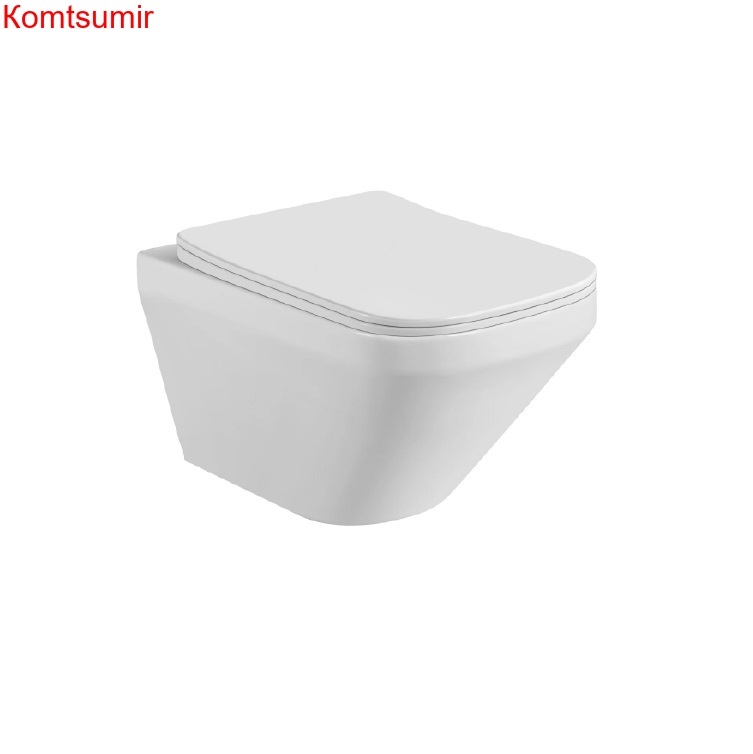 Унитаз безободковый Aquatek ЛИРА AQ1155-00, 490*365*320 мм, горизонтальный выпуск, тонкое сиденье с механизмом плавного закрывания, крепеж