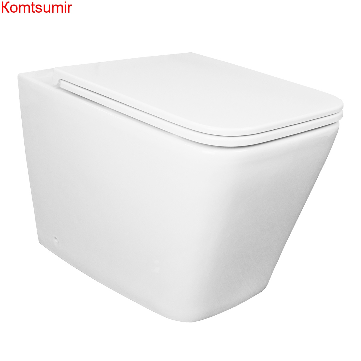 Унитаз напольный Azario Teramo 60х*355х410 быстросъемное сиденье микролифт (AZ-003D-NR)